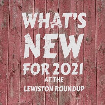 small-whats-new-2021